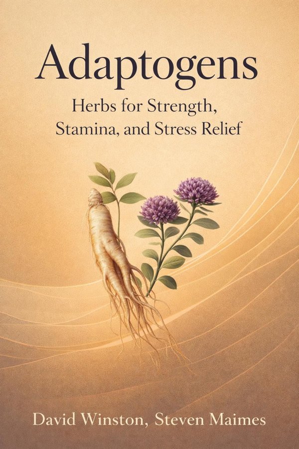 Next.MetadataOutlet book cover