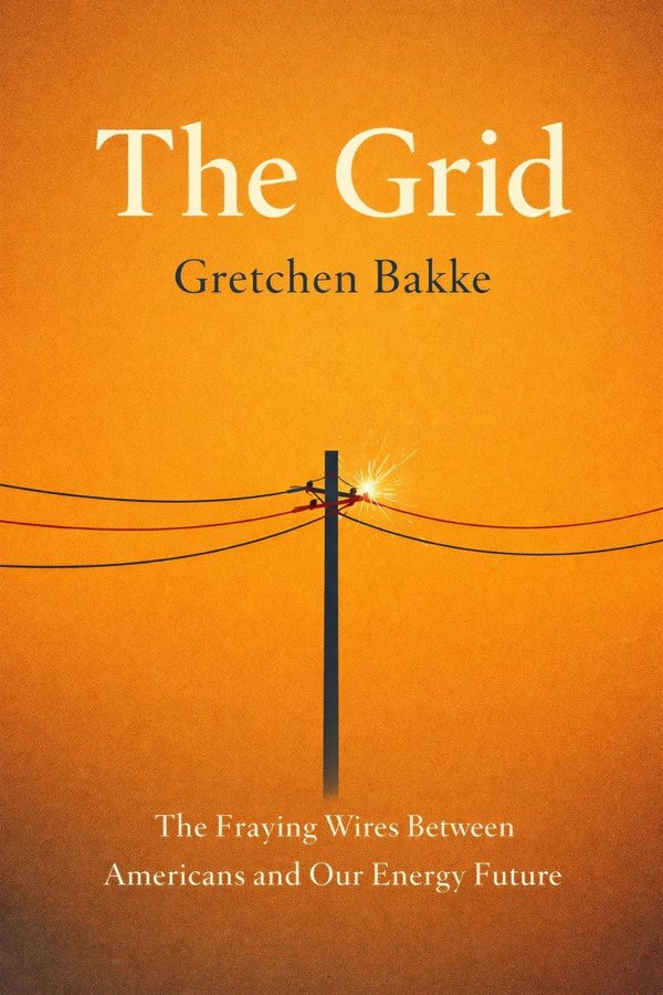 The Grid: The Fraying Wires Between Americans and Our Energy Future book cover