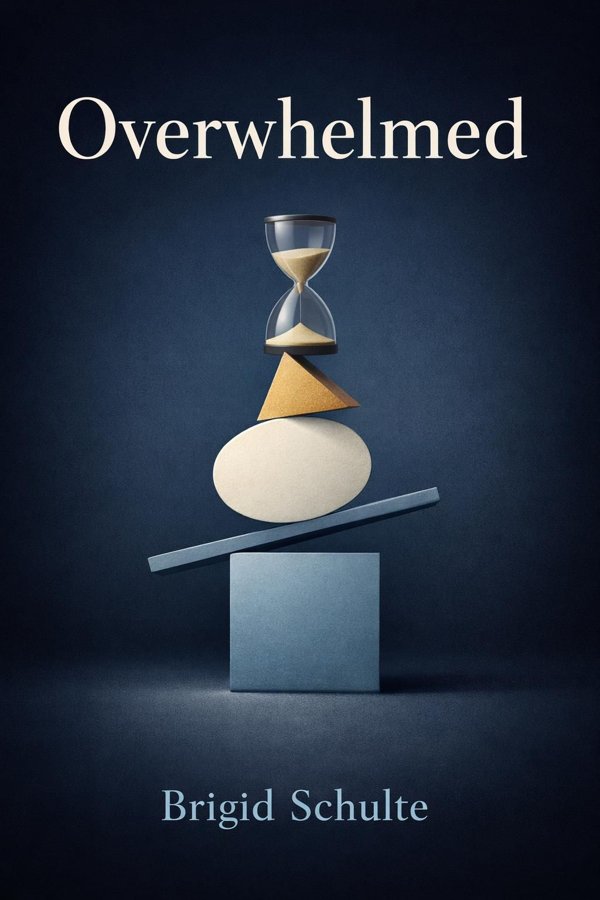 Overwhelmed: Work, Love, and Play When No One Has the Time