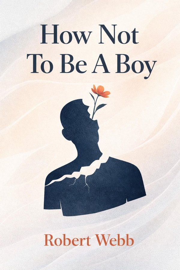 How Not To Be A Boy book cover